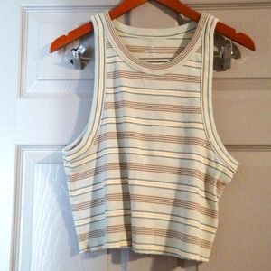 Aerie Striped Crop Tank
